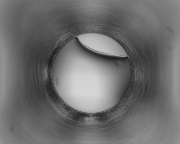 X0000112110216200908041158