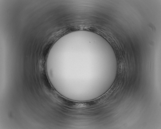 X0000112110218200908041158