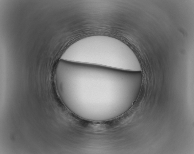 X0000112110221200908041158