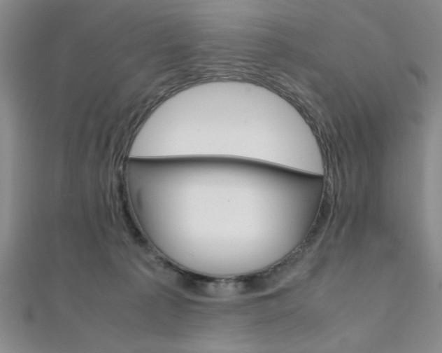 X0000112110225200908041158