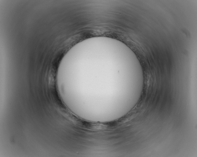 X0000112110226200908041158