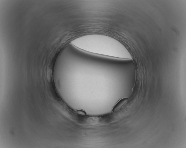 X0000112110227200908041158