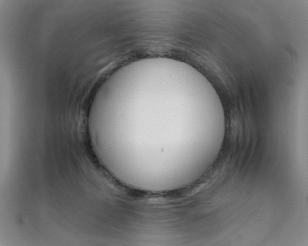 X0000112110228200908041158