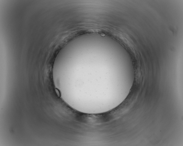 X0000112110229200908041158