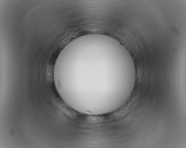 X0000112110234200908041158