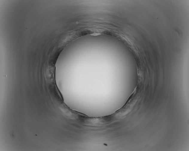 X0000112110237200908041158