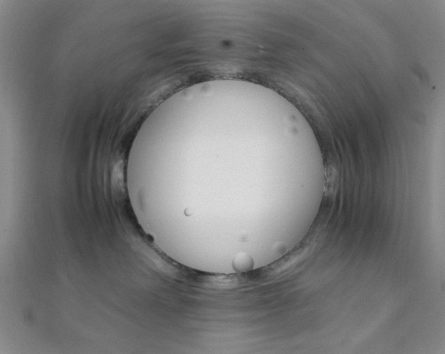 X0000112110238200908041158