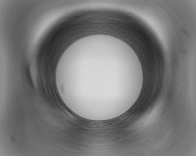 X0000112110239200908041158