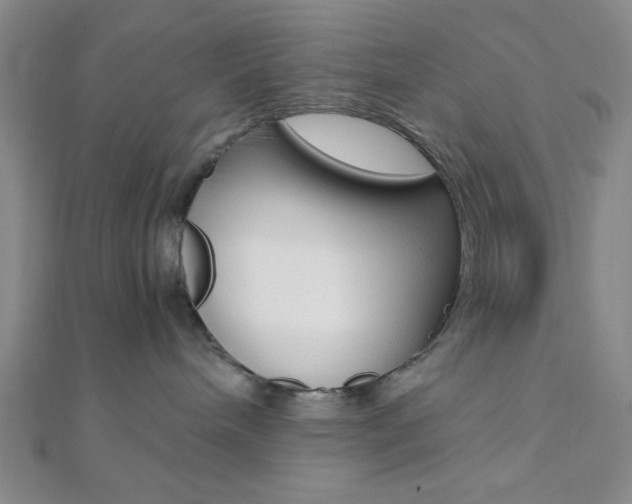 X0000112110240200908041158
