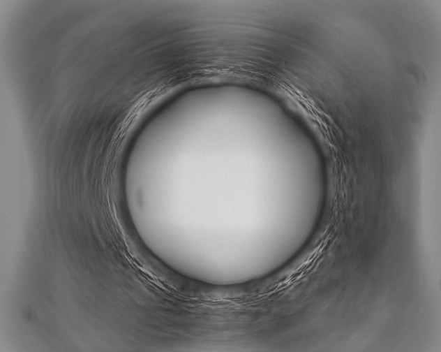 X0000112110241200908041157