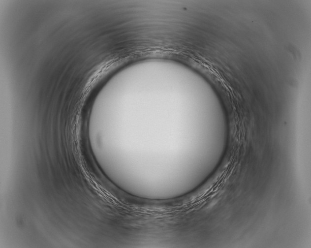 X0000112110242200908041157
