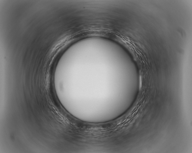 X0000112110243200908041157