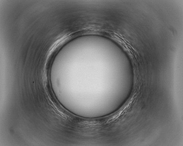 X0000112110245200908041157
