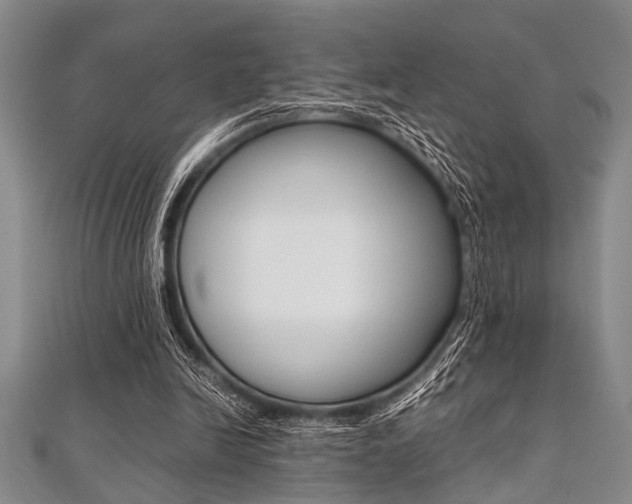 X0000112110246200908041157