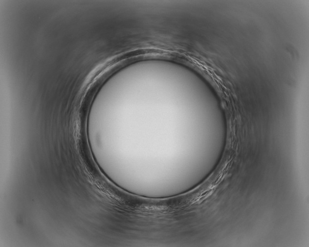 X0000112110247200908041157