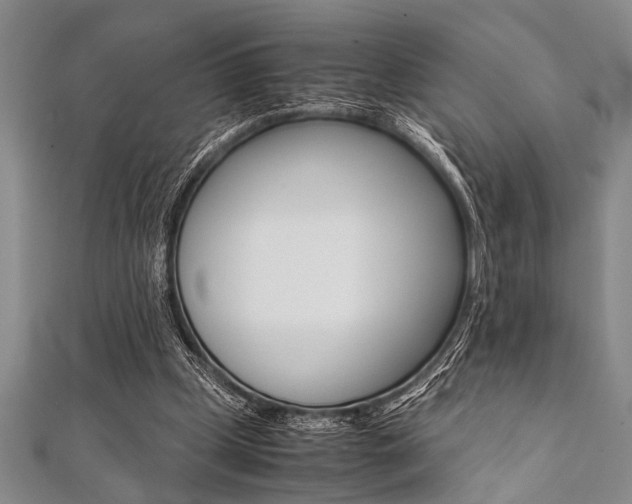 X0000112110249200908041157