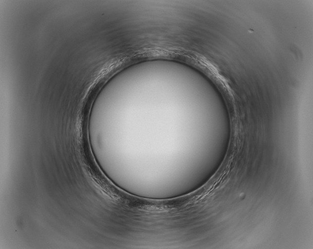 X0000112110250200908041157