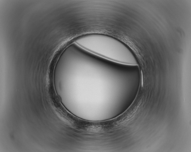X0000112110252200908041157