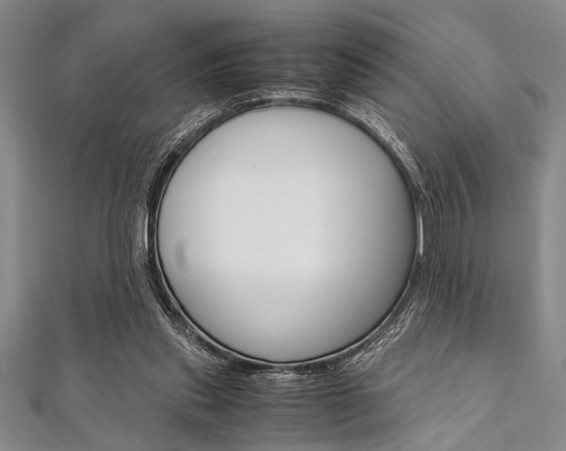 X0000112110253200908041157