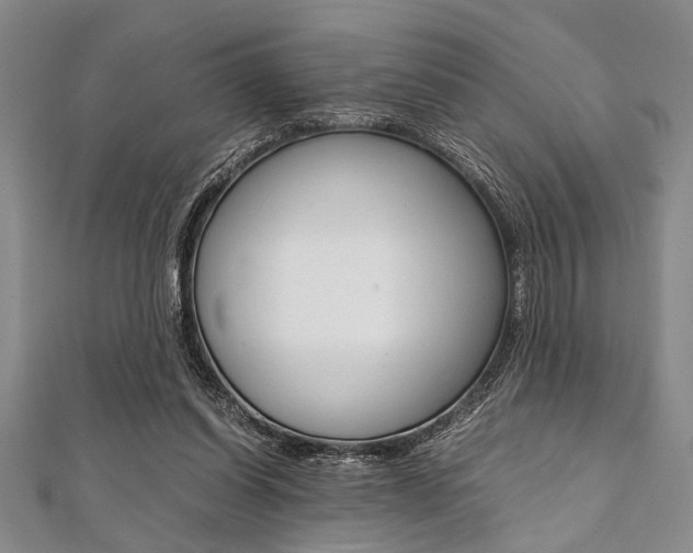 X0000112110254200908041157