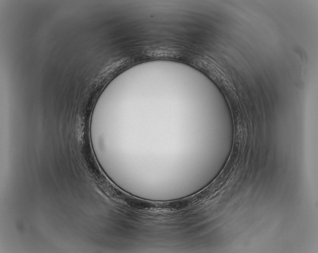X0000112110255200908041157