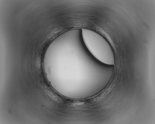 X0000112110257200908041157