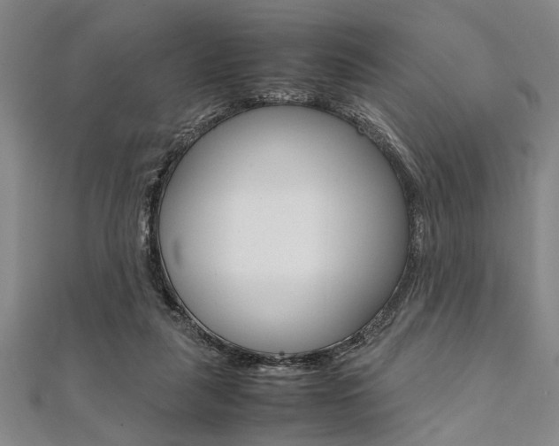 X0000112110259200908041157
