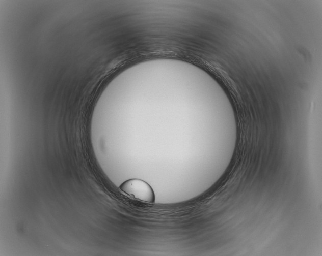 X0000112110260200908041157