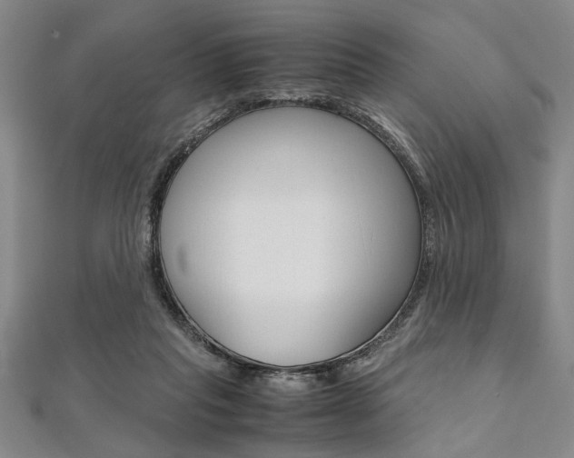 X0000112110261200908041157