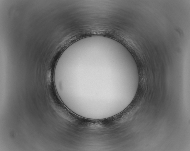 X0000112110262200908041157