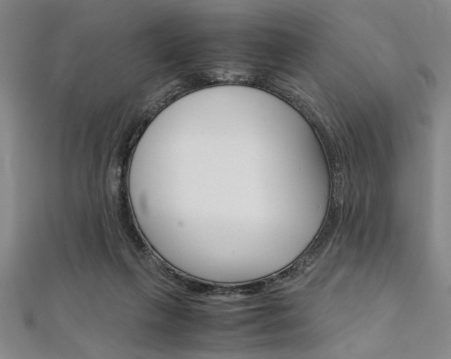 X0000112110263200908041157