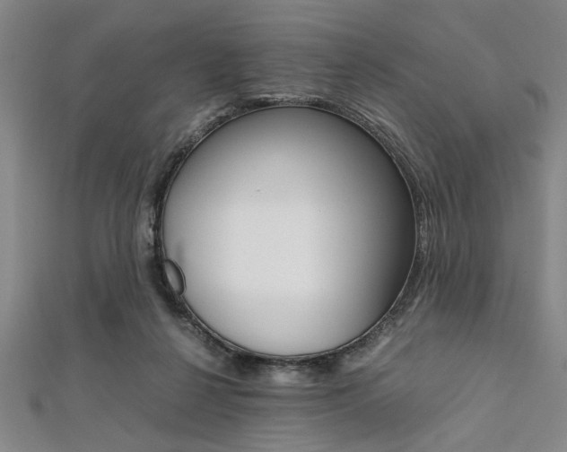 X0000112110264200908041157