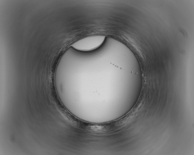 X0000112110265200908041157