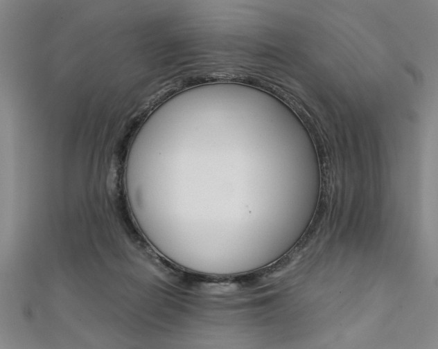 X0000112110266200908041157