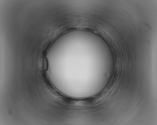 X0000112110268200908041157