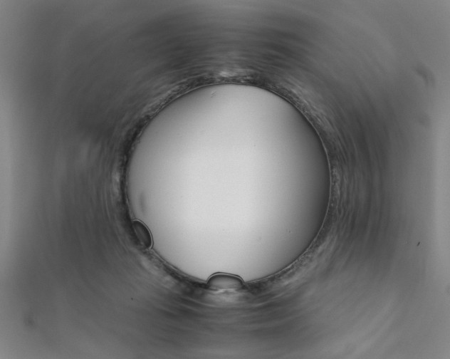 X0000112110269200908041157