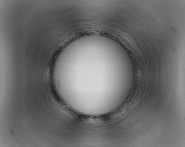X0000112110270200908041157