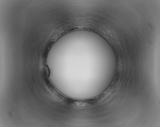 X0000112110272200908041157