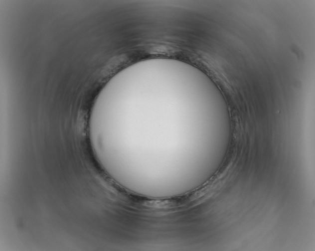 X0000112110273200908041157