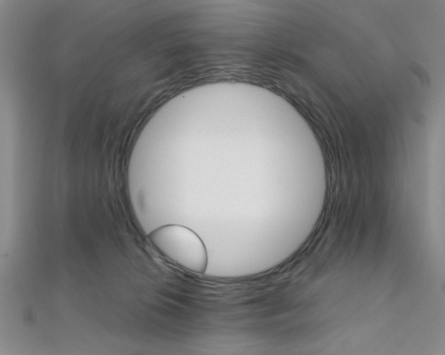 X0000112110276200908041158