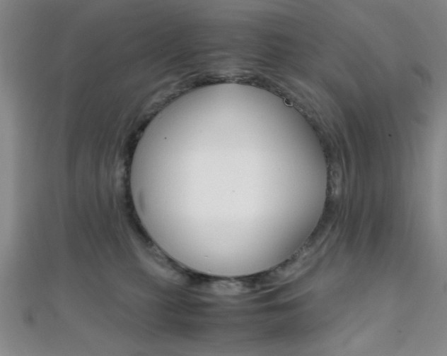 X0000112110279200908041158