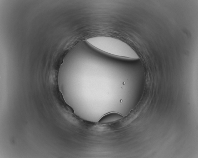 X0000112110280200908041158