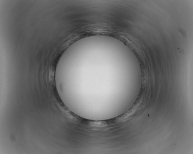 X0000112110281200908041158