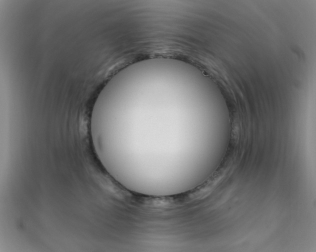 X0000112110282200908041158