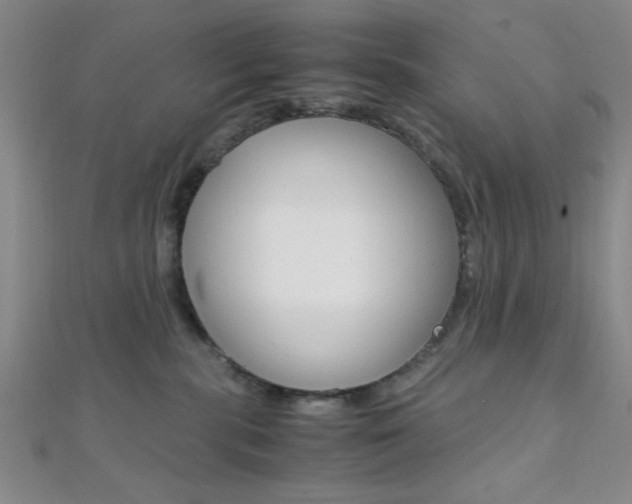 X0000112110283200908041158