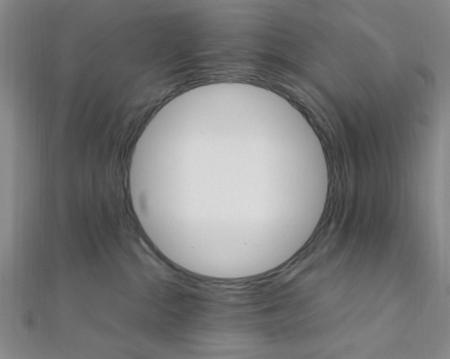X0000112110284200908041158