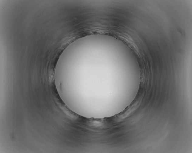 X0000112110285200908041158
