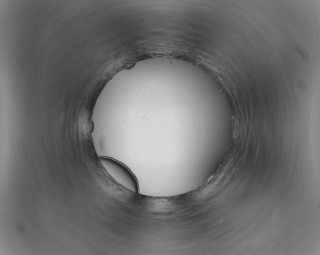 X0000112110287200908041158