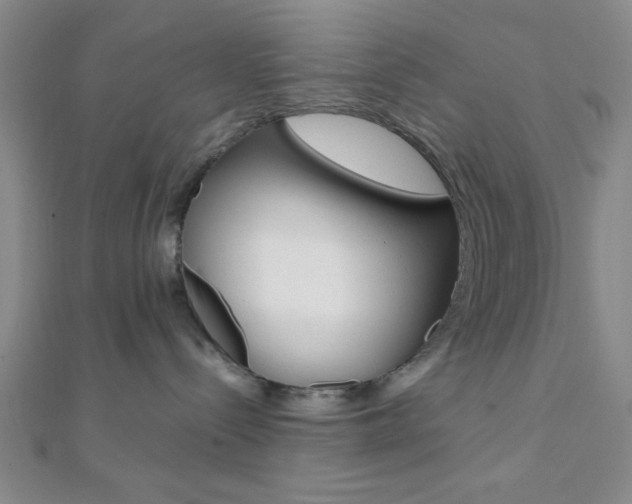 X0000112110288200908041158