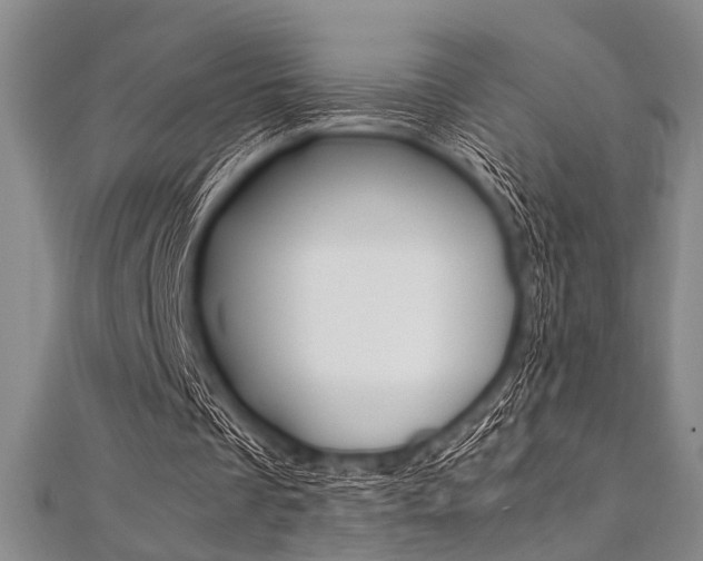 X0000112110289200908041157